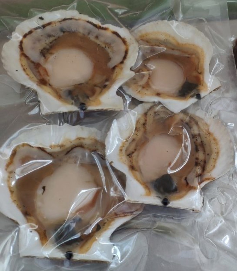 Гребешок на раковине севкурильский — оптом от CEOFOOD